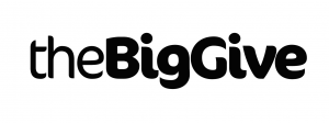 logo for The Big Give fund