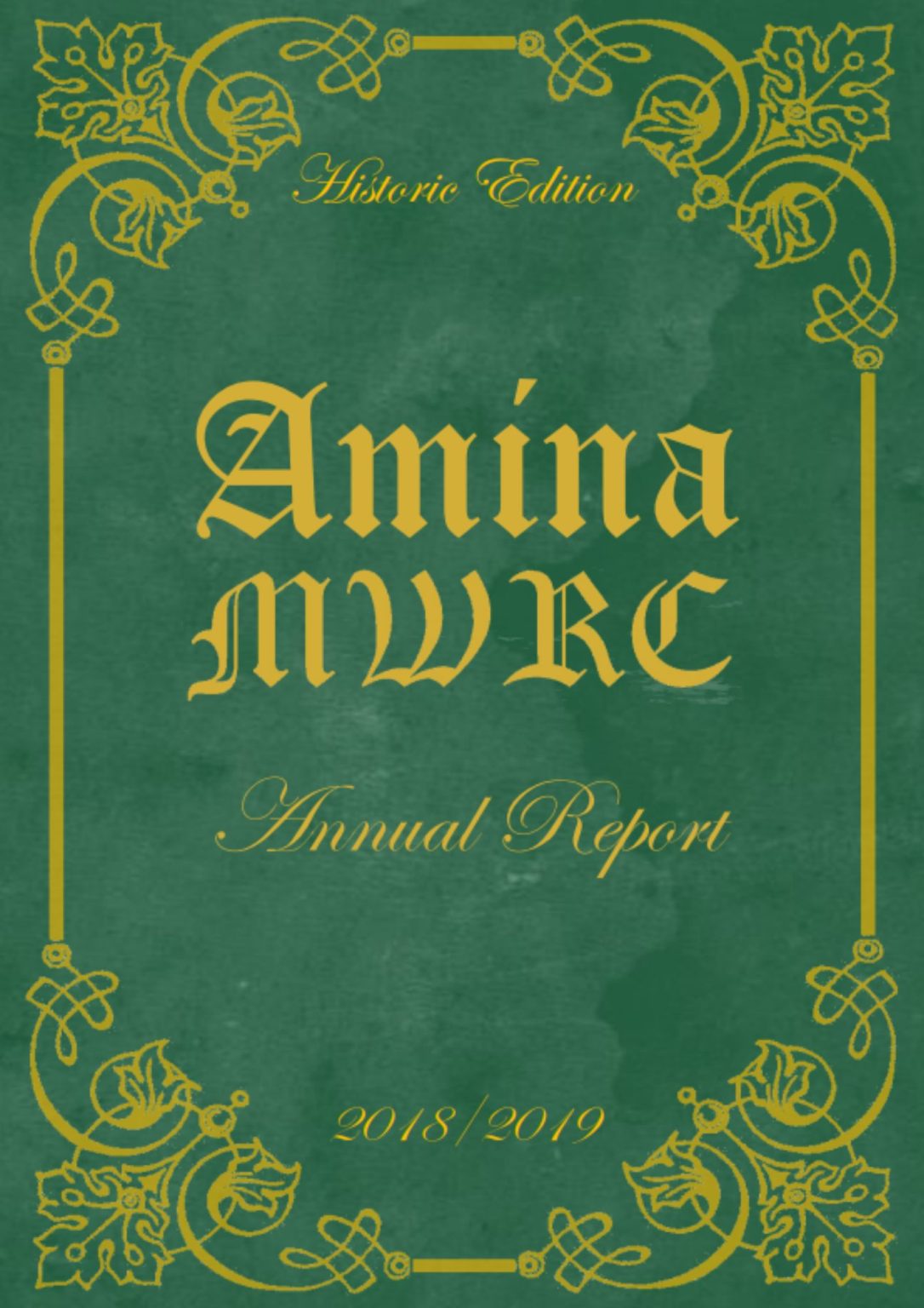 amina-reports-2018